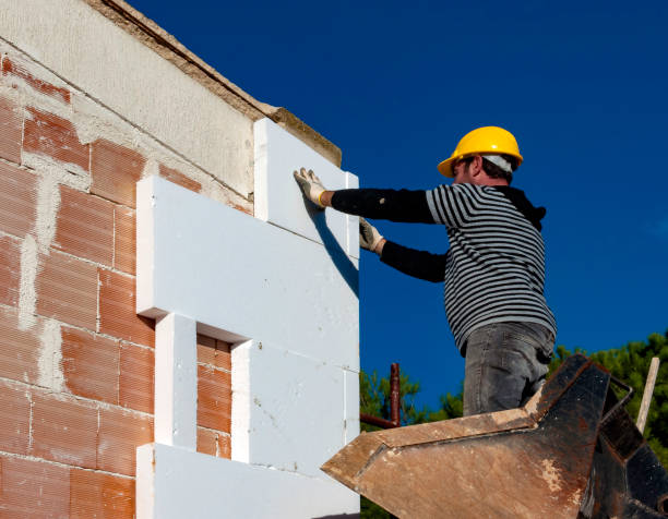 Best Residential Insulation Services  in Colonia, NJ