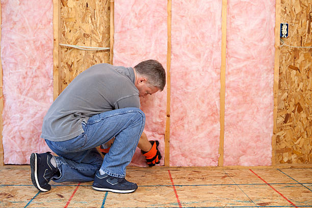 Best Attic Insulation Installation  in Colonia, NJ